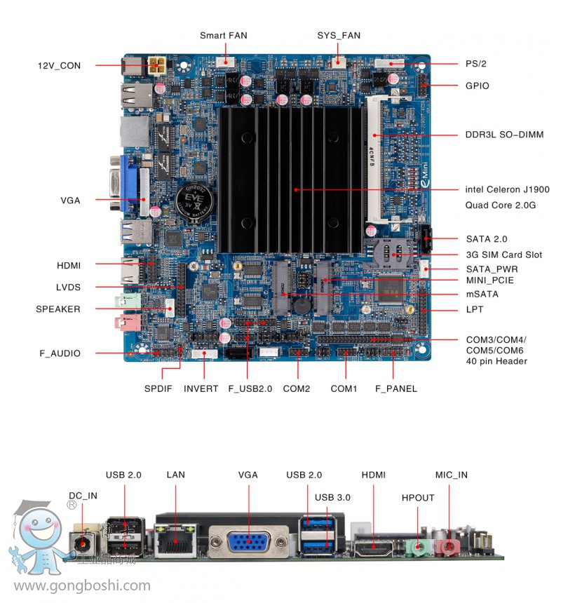 LR-J1900T1((bio)ע)